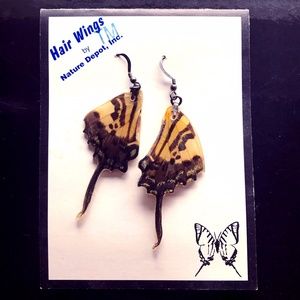Real Butterfly Wing Earrings
